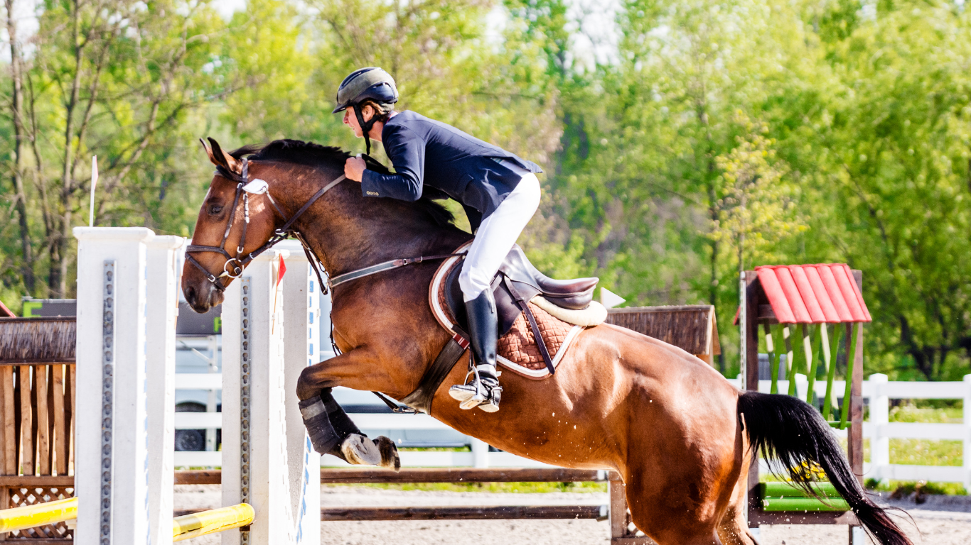 Horse Show, Horse Competition, Horse Races, Barrell Races